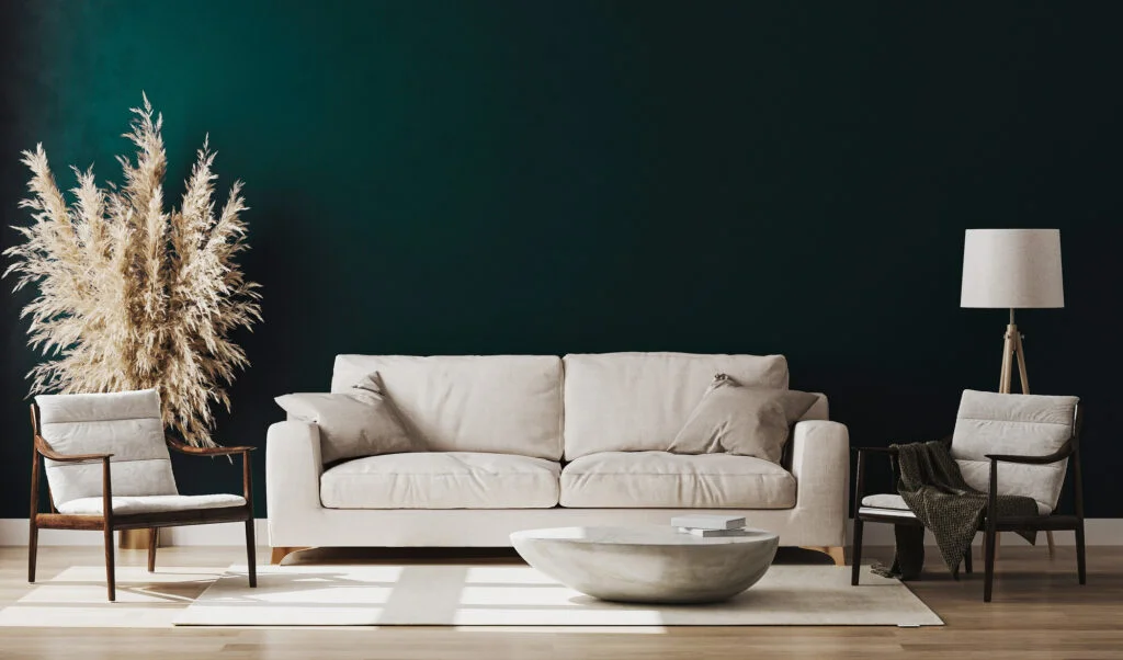 beautiful modern room with comfy sofa